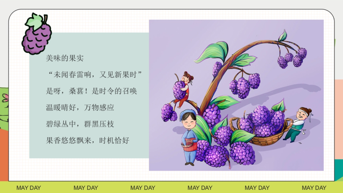 与桑相遇  葚是欢喜户外农田桑葚采摘美好生活节主题活动方案_第3页