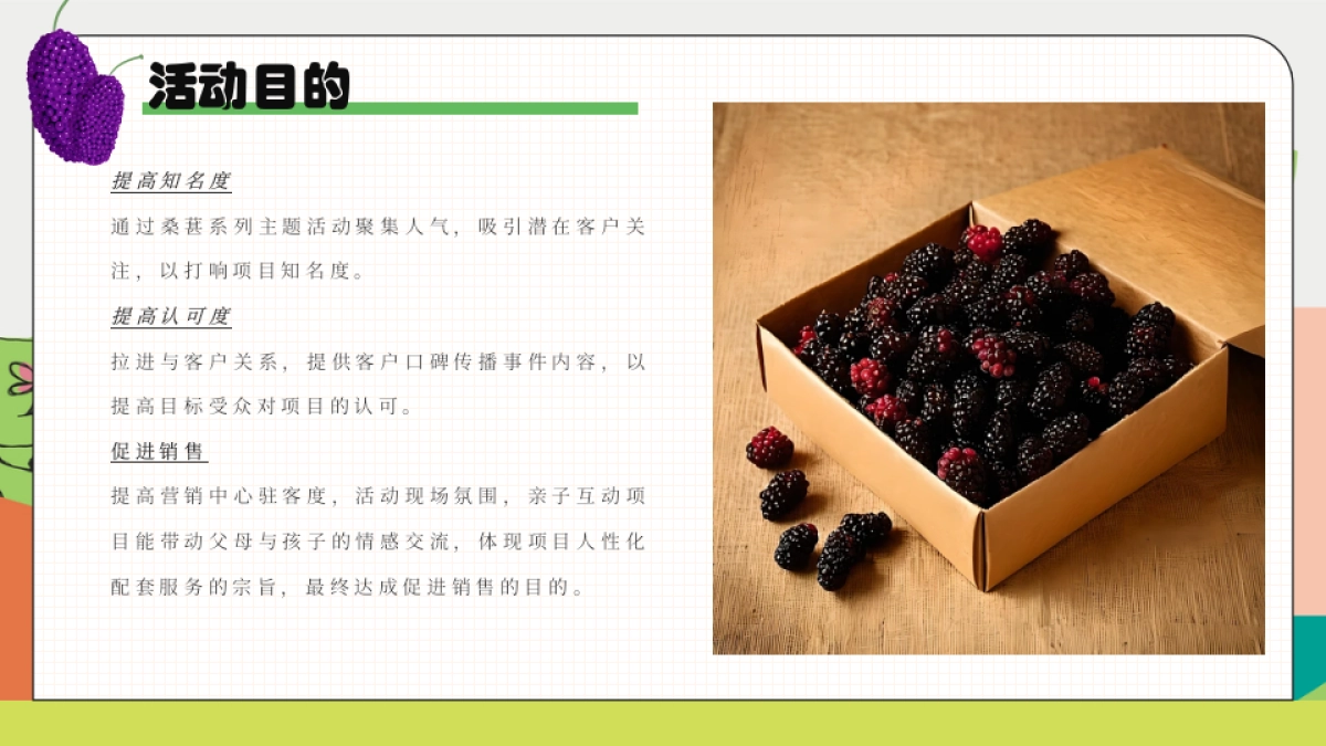 与桑相遇  葚是欢喜户外农田桑葚采摘美好生活节主题活动方案_第8页