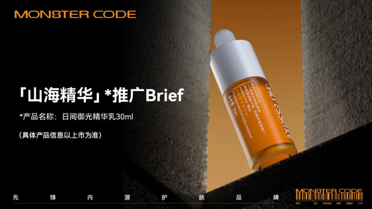 【MONSTER CODE】野兽代码山海精华Brief_第1页