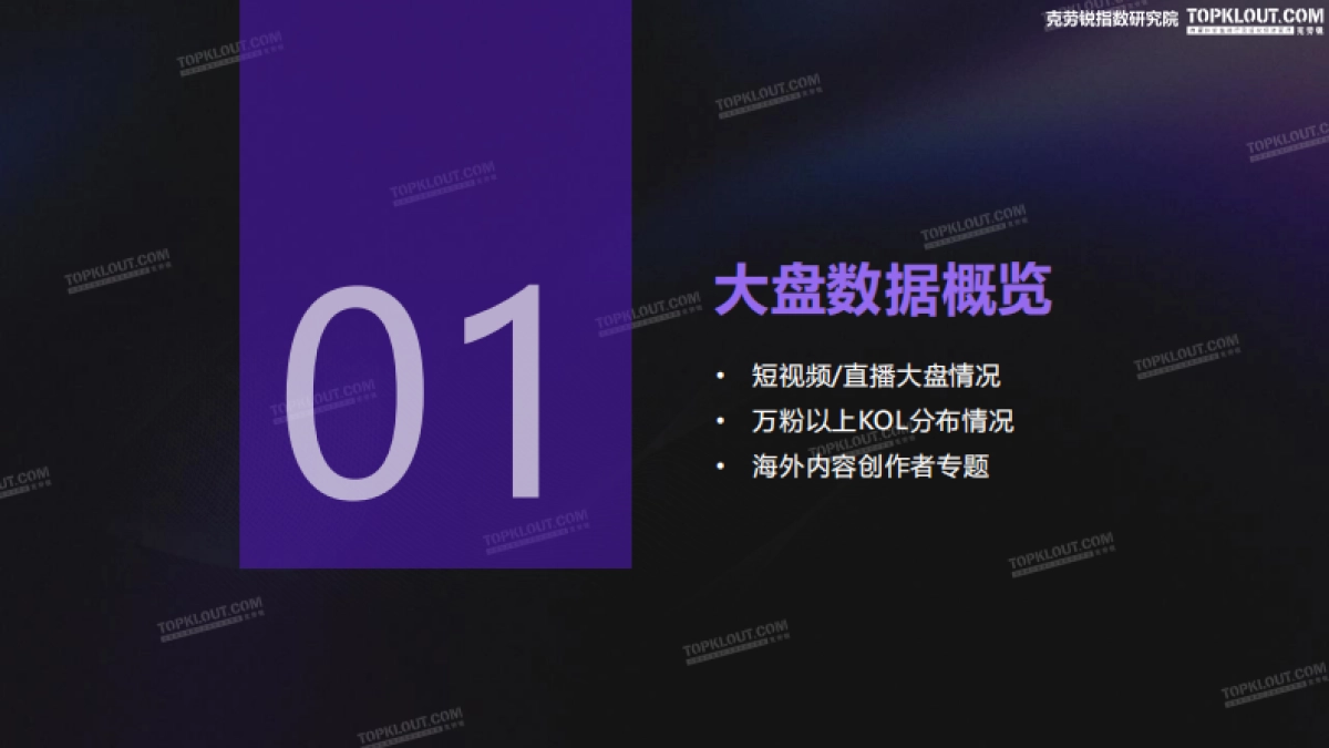 2024年KOL发展年报_第4页