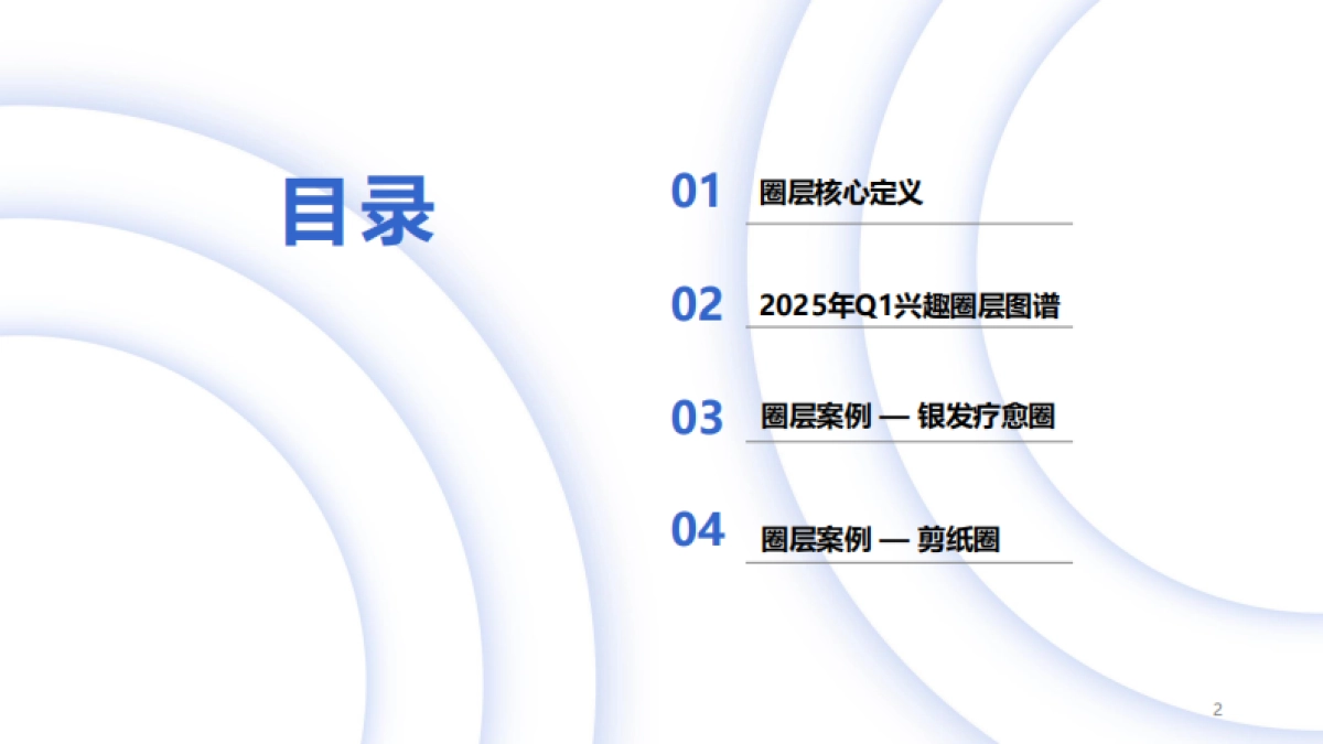 2025中国消费者兴趣圈层 Q1白皮书_第2页