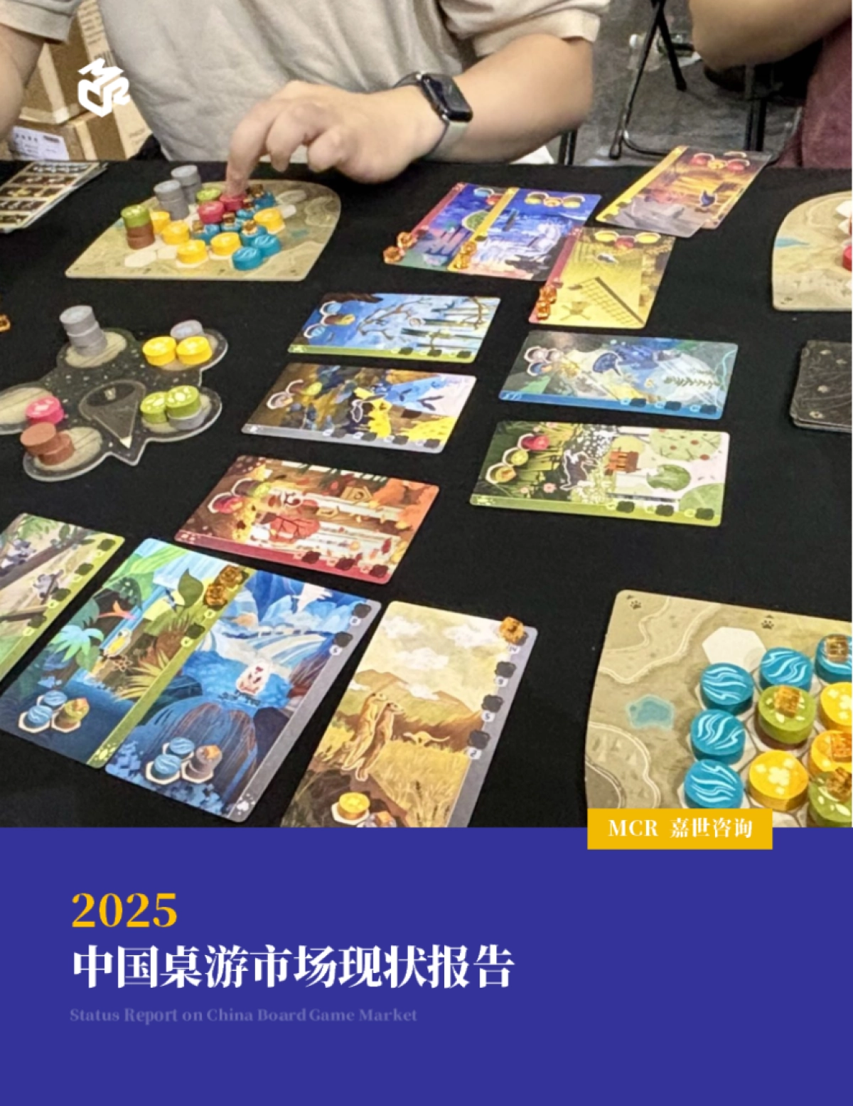 2025中国桌游市场现状报告98页_第1页