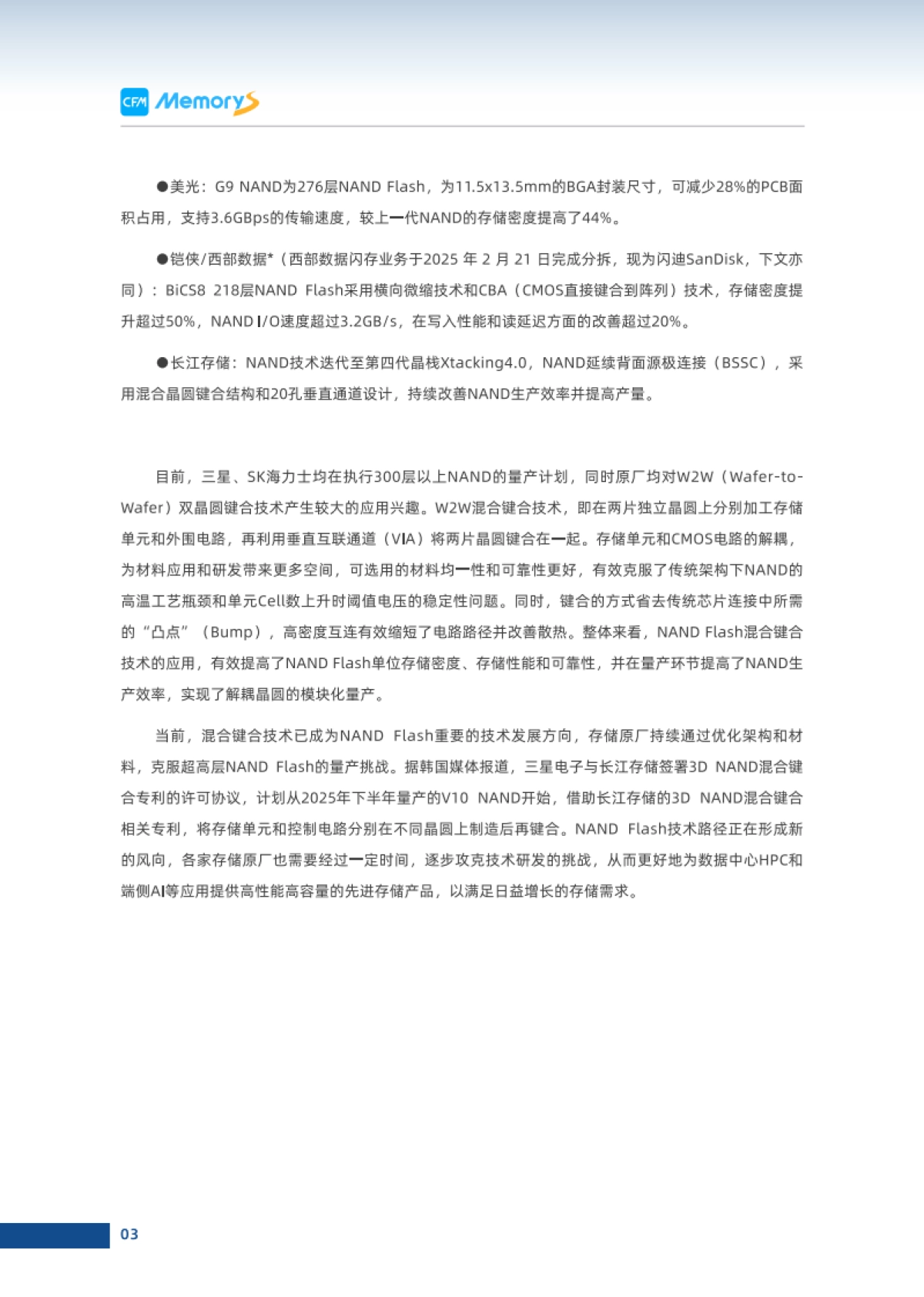 2024-2025年全球存储市场趋势白皮书_第6页