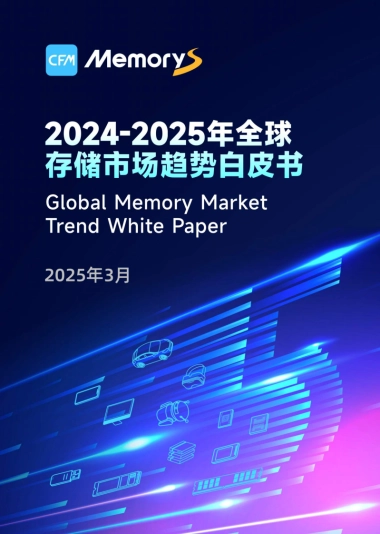 2024-2025年全球存储市场趋势白皮书