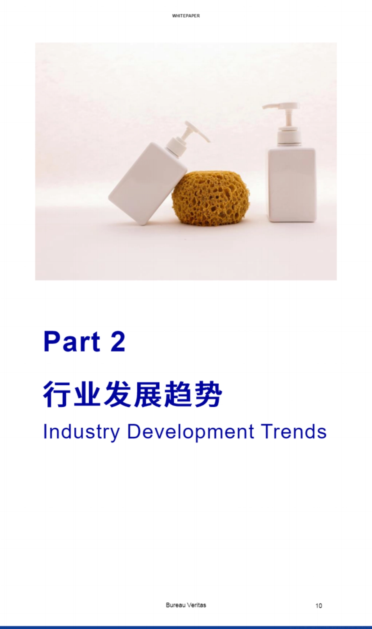 2024化妆品行业白皮书_第10页