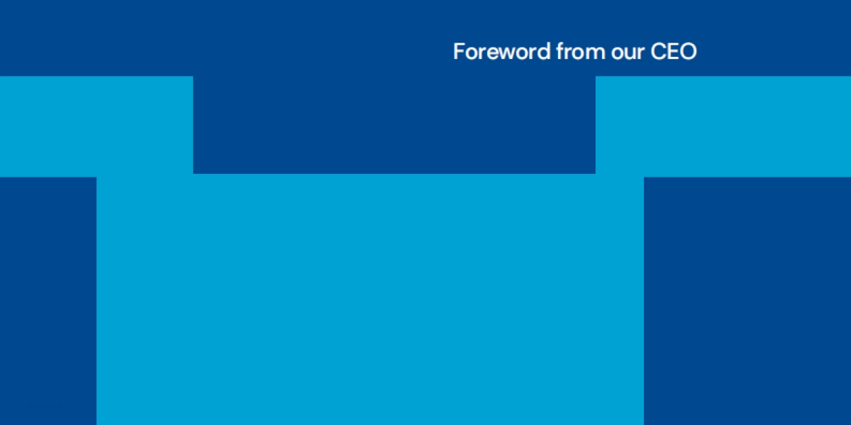 2024可再生能源和太阳能趋势研究报告(英文版)_第3页