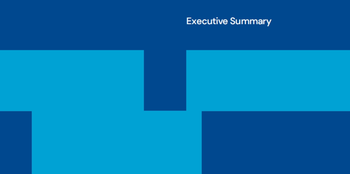 2024可再生能源和太阳能趋势研究报告(英文版)_第5页