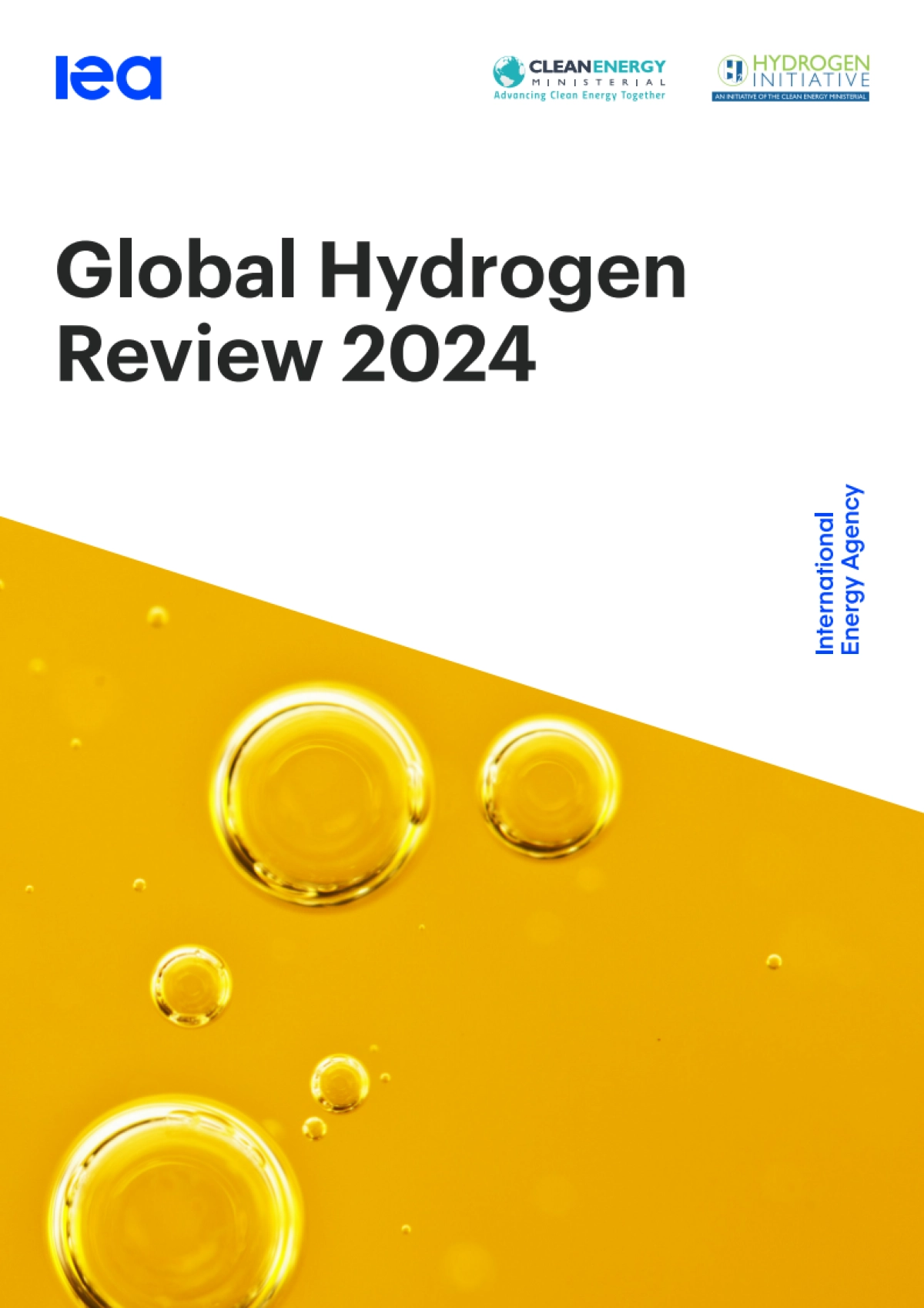 2024年全球氢评价_第1页