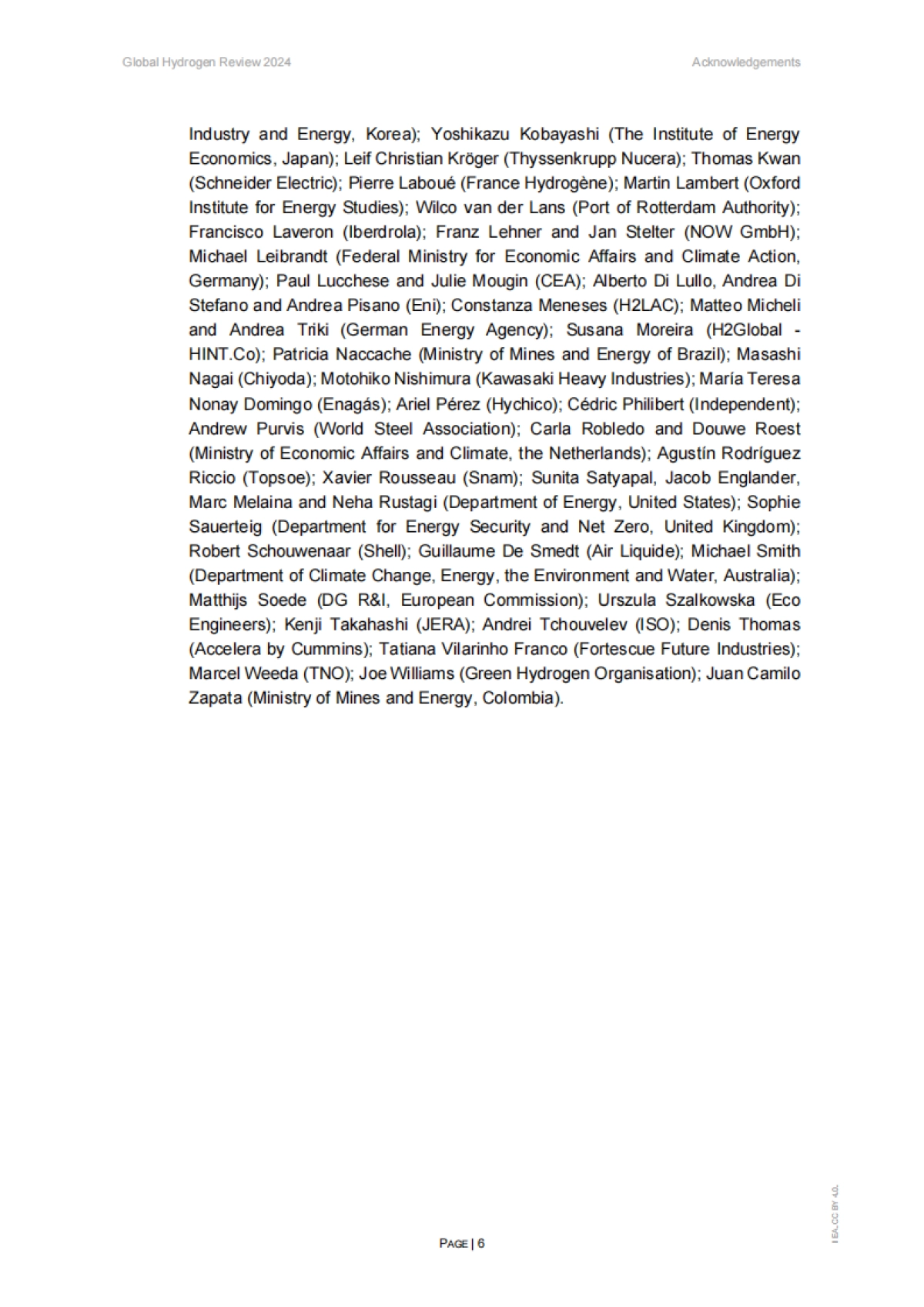 2024年全球氢评价_第6页