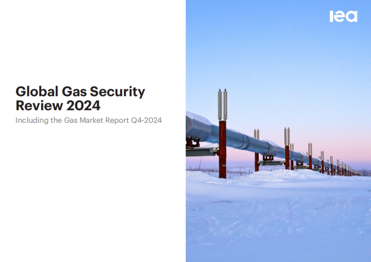 2024年全球天然气安全评价_第1页