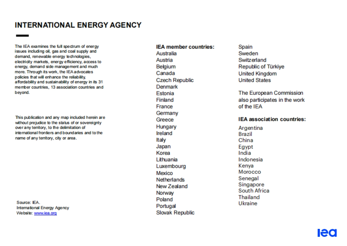 2024年全球天然气安全评价_第2页