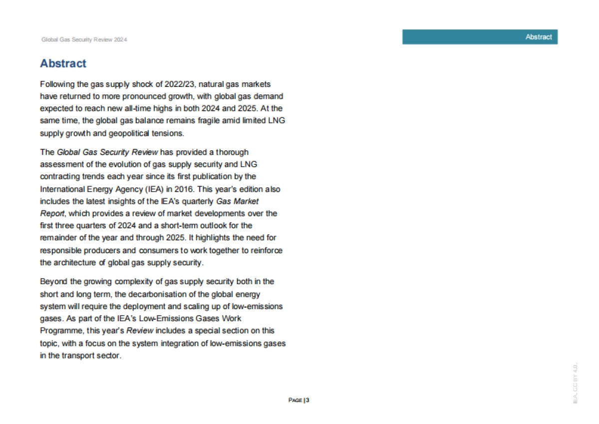 2024年全球天然气安全评价_第3页