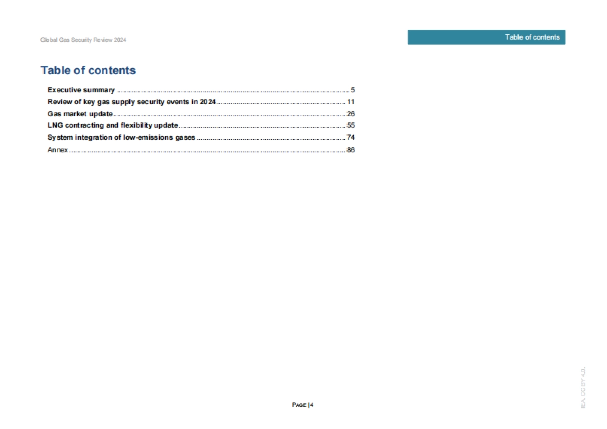 2024年全球天然气安全评价_第4页