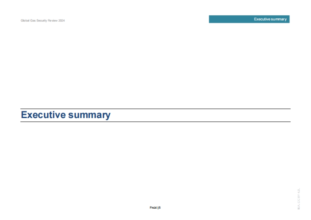 2024年全球天然气安全评价_第5页