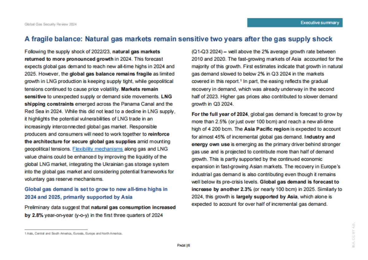 2024年全球天然气安全评价_第6页