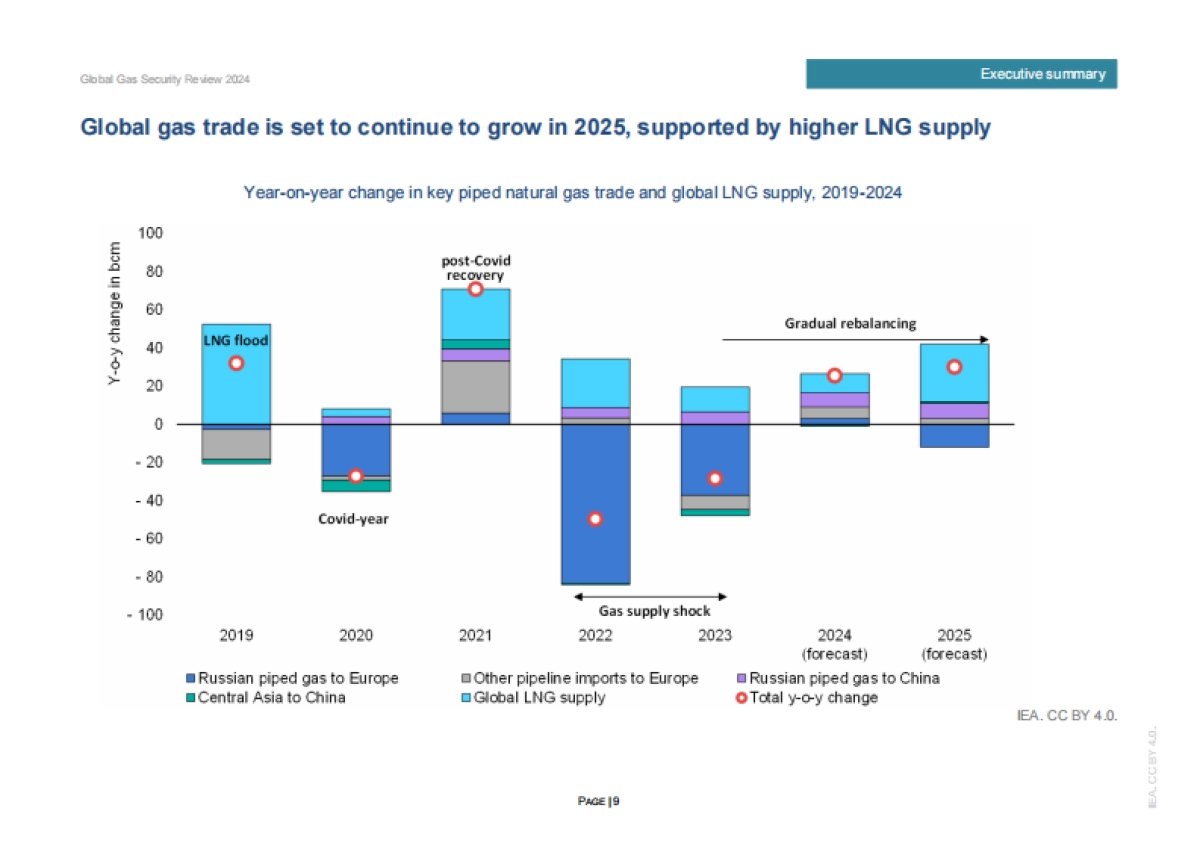 2024年全球天然气安全评价_第9页