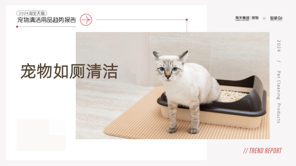 2024淘宝天猫宠物清洁用品趋势报告_第10页
