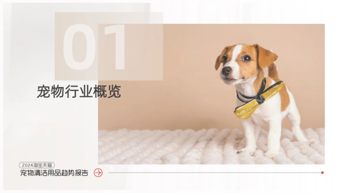2024淘宝天猫宠物清洁用品趋势报告_第3页