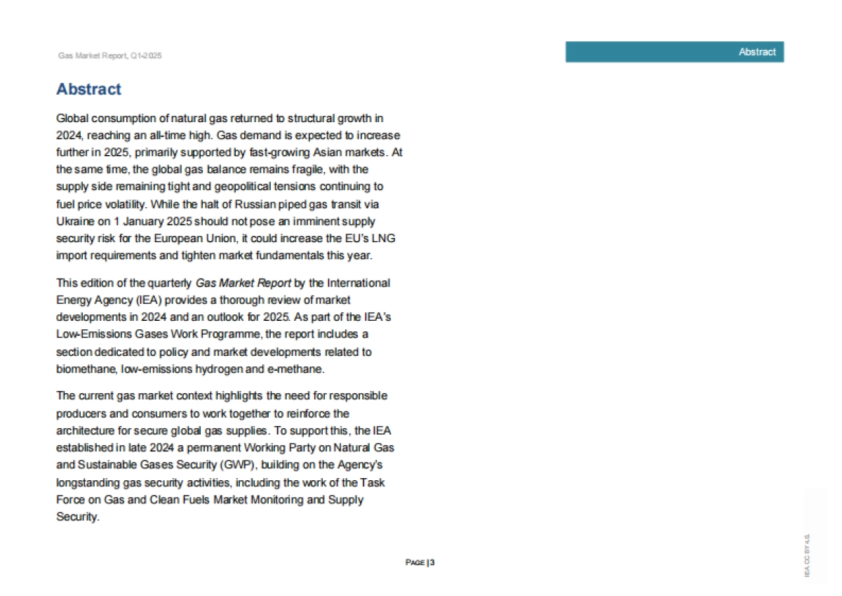2025年第一季度天然气市场报告_第3页