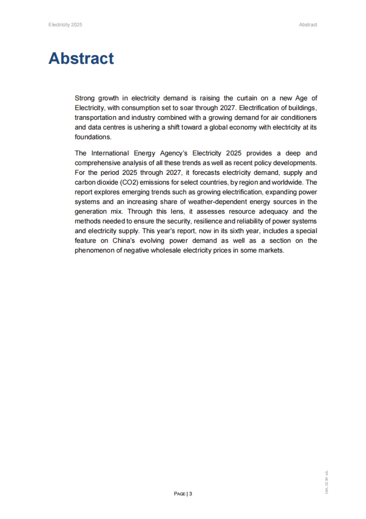 2025年电力报告_第3页