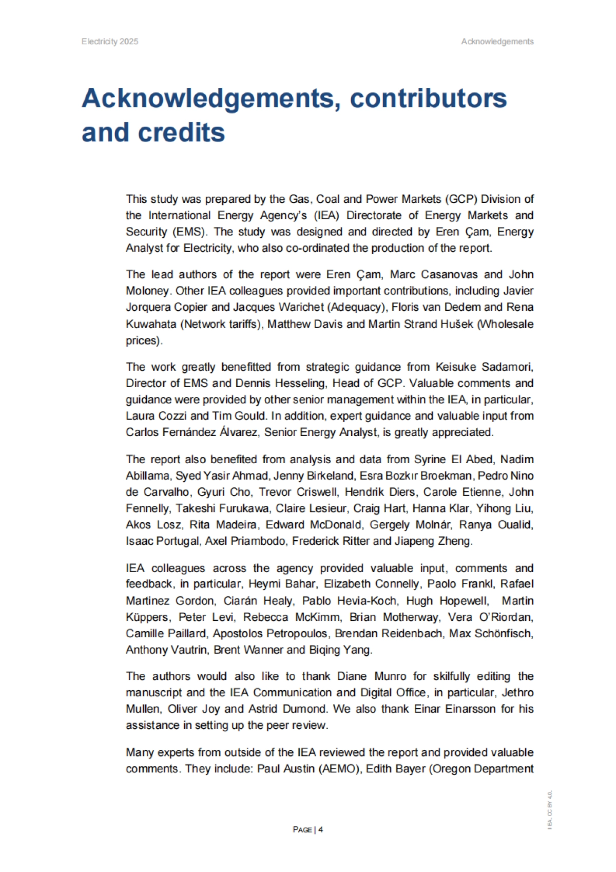 2025年电力报告_第4页