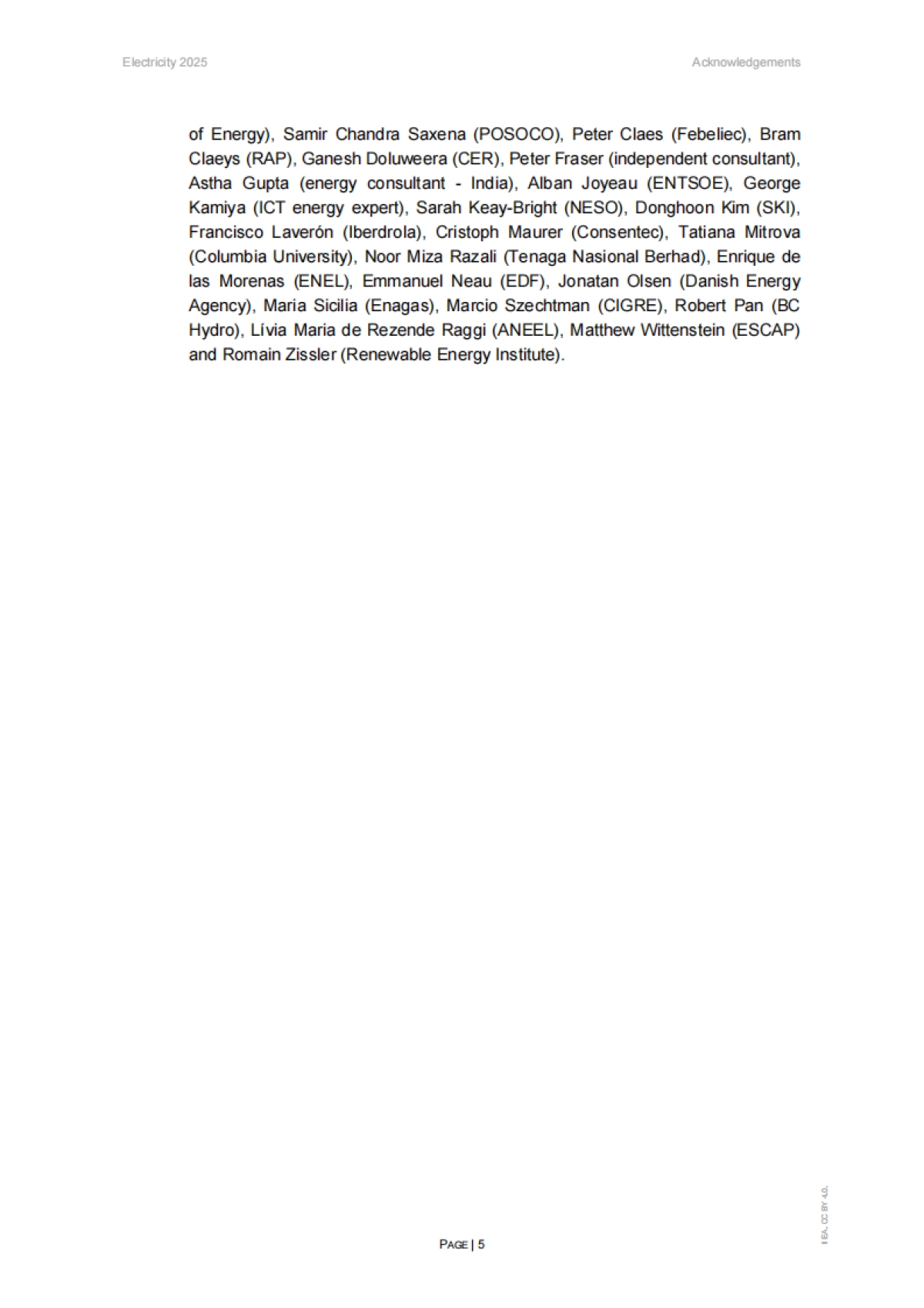 2025年电力报告_第5页