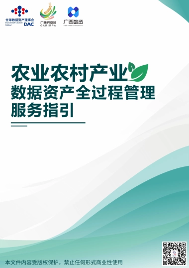 2025年农业农村产业数据资产全过程管理服务指引