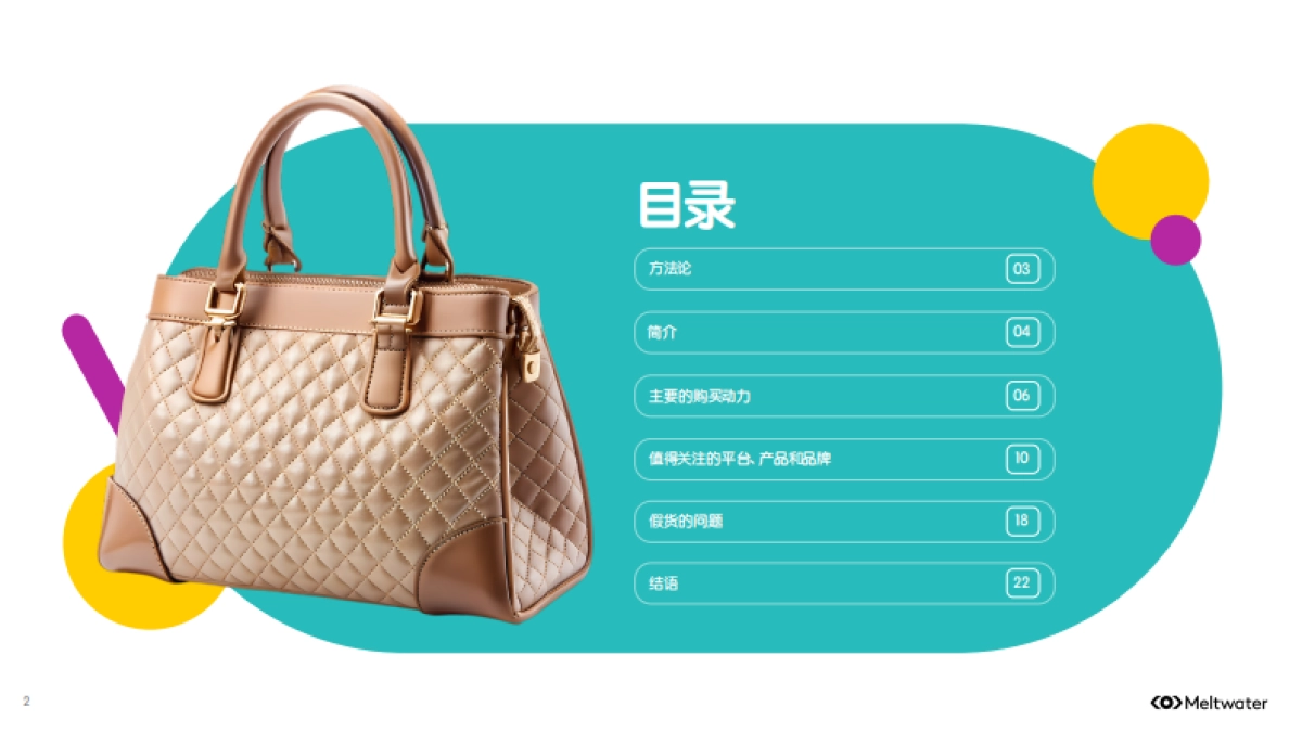 2025年全球二手奢侈品行业消费者洞察报告_第2页