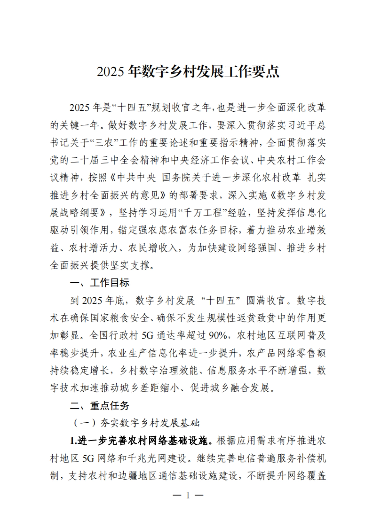 2025年数字乡村发展工作要点_第1页
