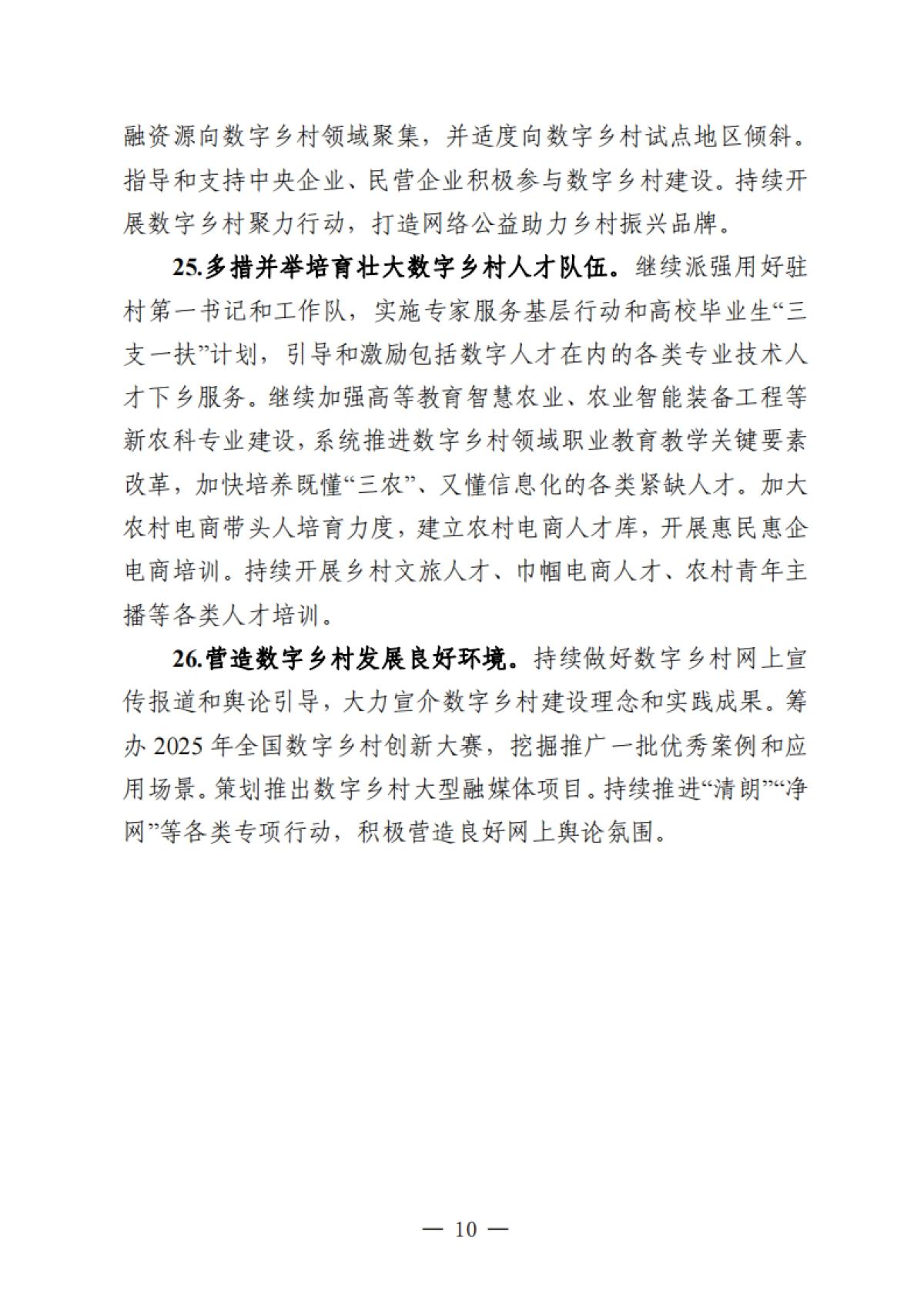 2025年数字乡村发展工作要点_第10页
