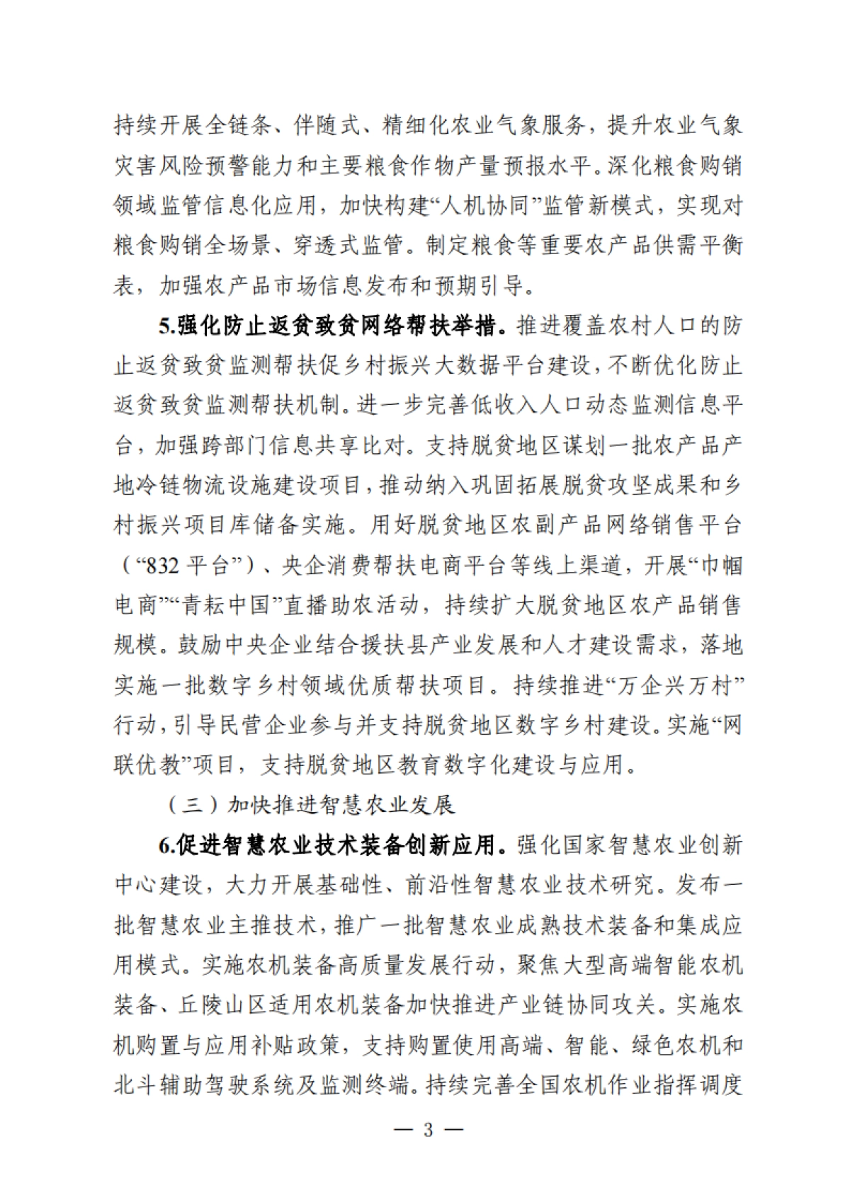 2025年数字乡村发展工作要点_第3页