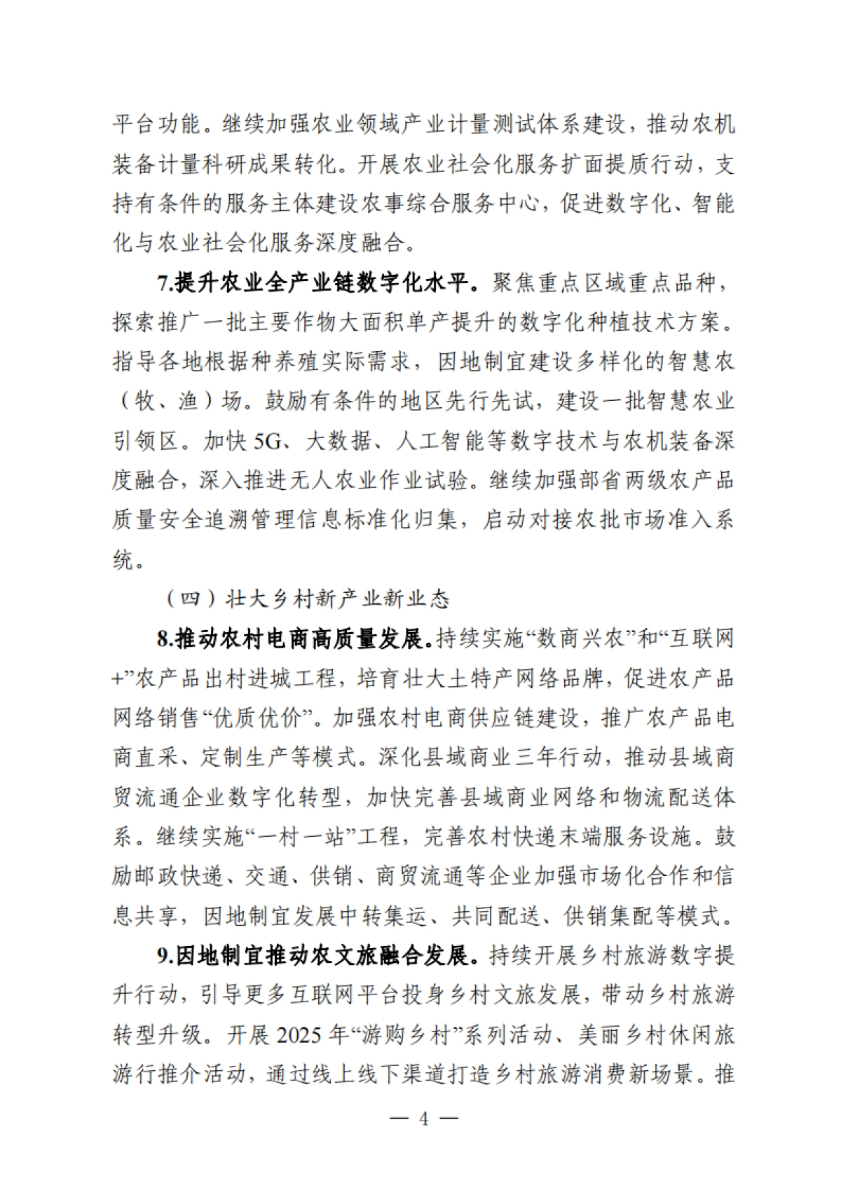 2025年数字乡村发展工作要点_第4页