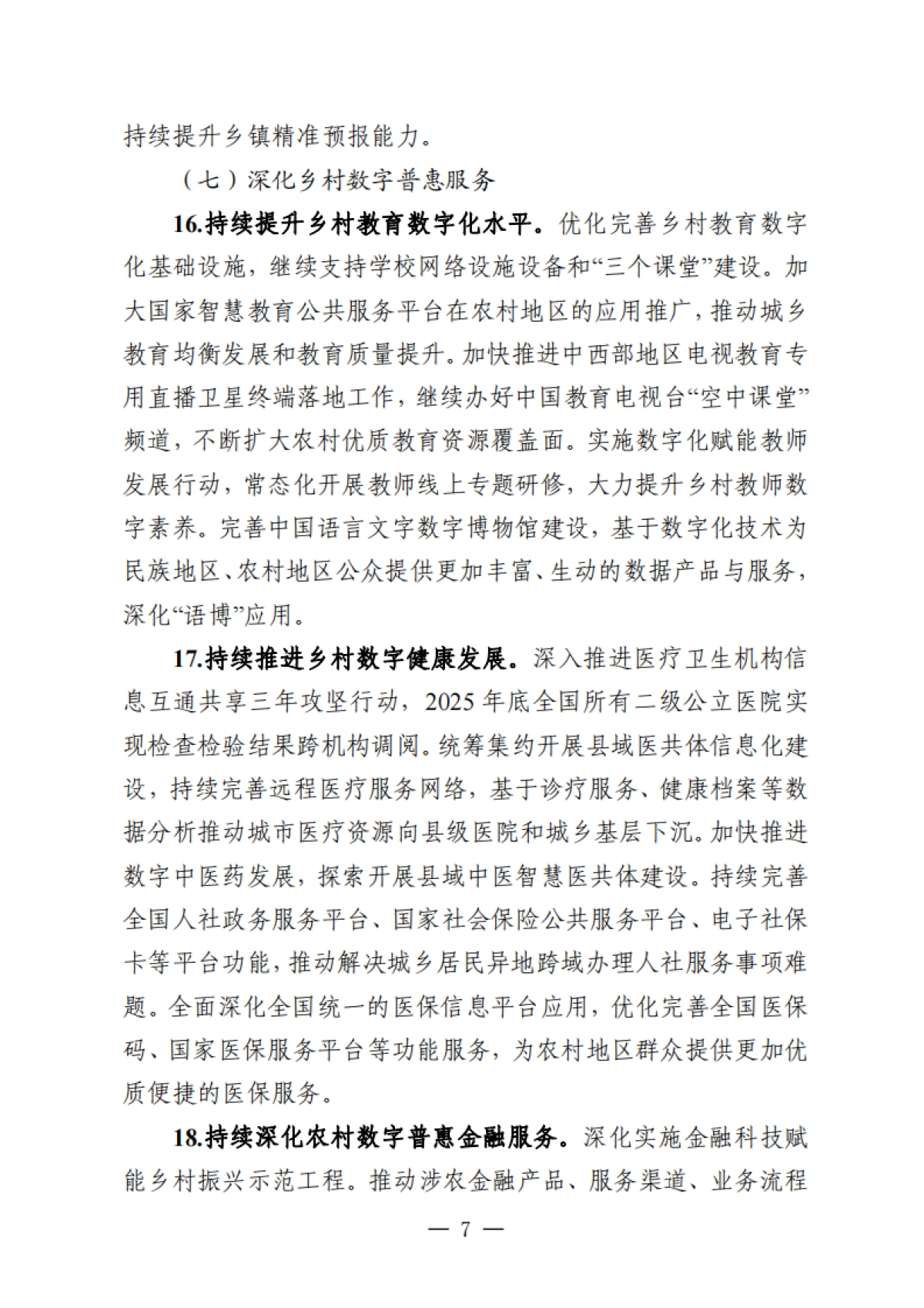 2025年数字乡村发展工作要点_第7页