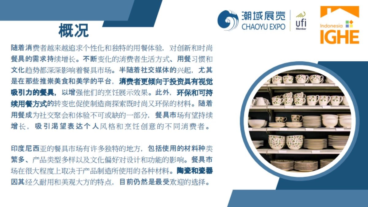 2025年印尼餐具市场调研报告_第5页