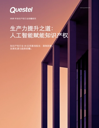 2025年知识产权行业前瞻研究报告-生产力提升之道：人工智能赋能知识产权