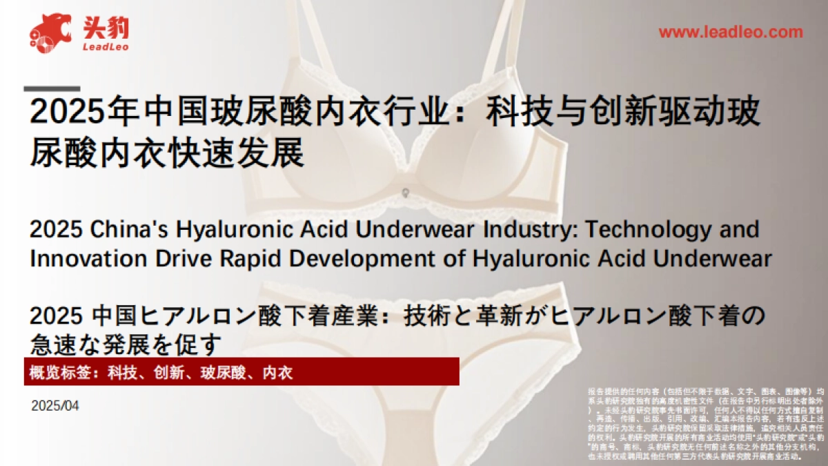 2025年中国玻尿酸内衣行业：科技与创新驱动玻尿酸内衣快速发展_第1页