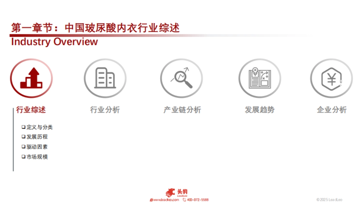 2025年中国玻尿酸内衣行业：科技与创新驱动玻尿酸内衣快速发展_第7页