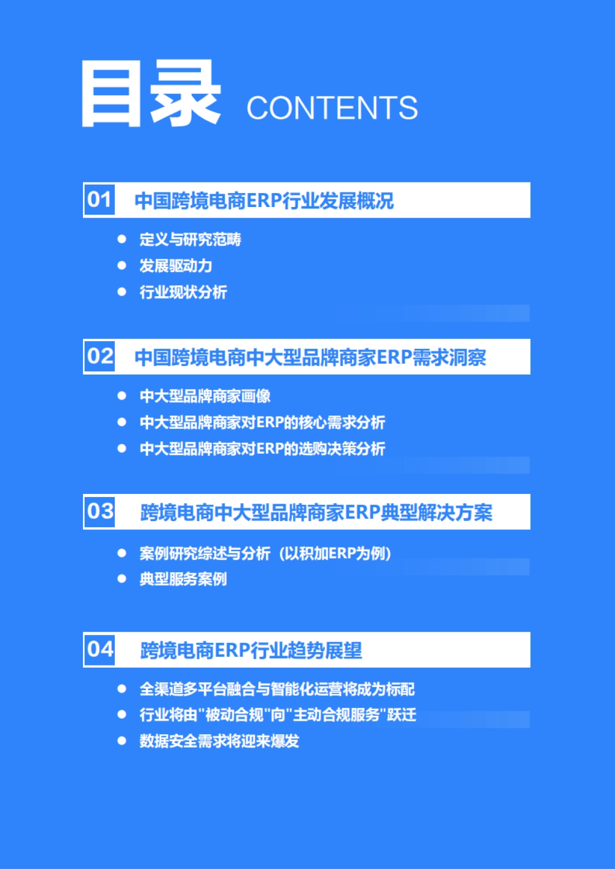 2025年中国跨境电商中大型品牌商家ERP需求洞察报告-36Kr_第3页
