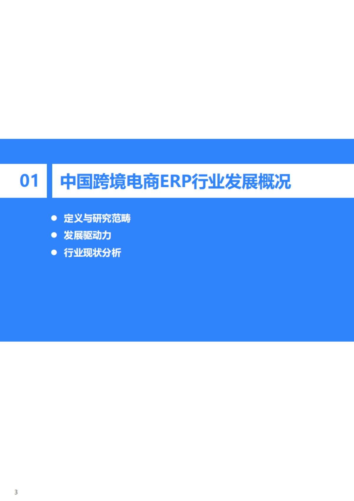 2025年中国跨境电商中大型品牌商家ERP需求洞察报告-36Kr_第4页