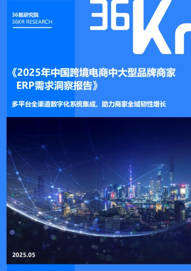 2025年中国跨境电商中大型品牌商家ERP需求洞察报告-36Kr