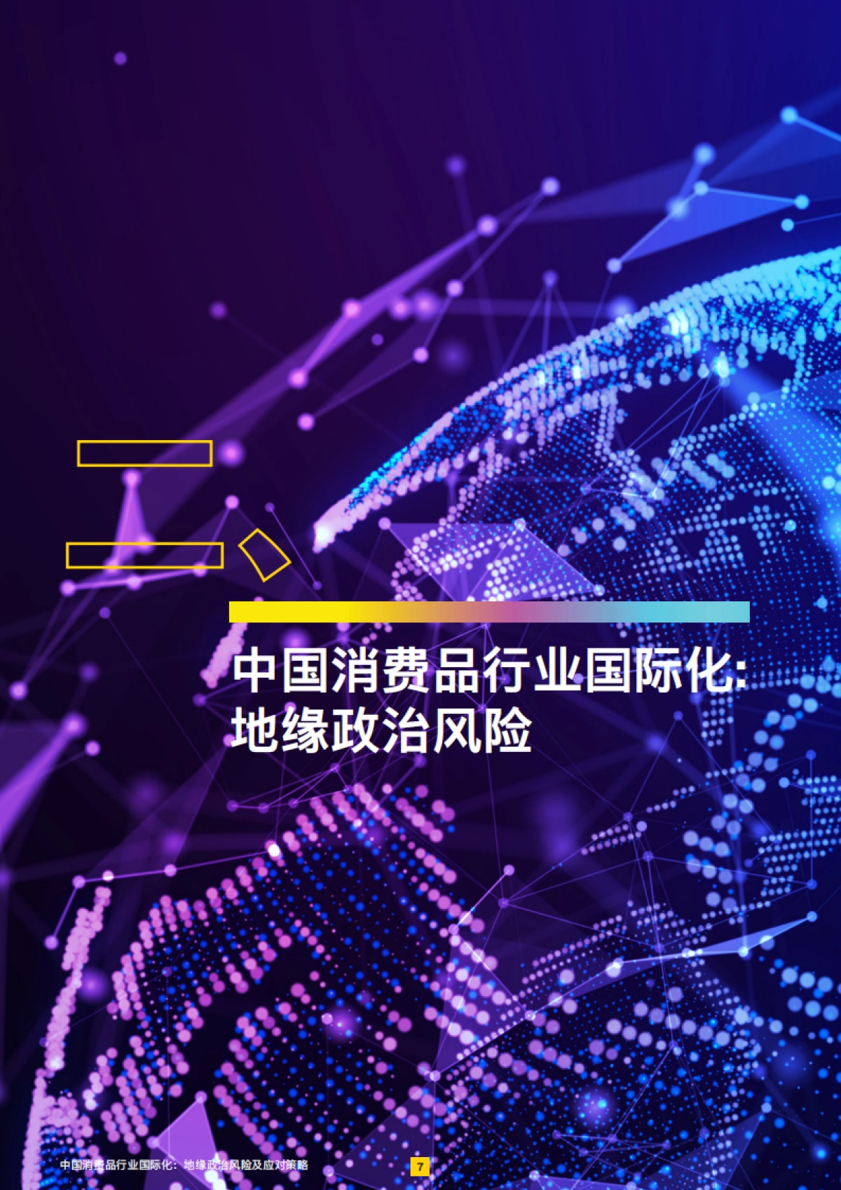 中国消费品行业国际化:地缘政治风险及应对策略_第8页