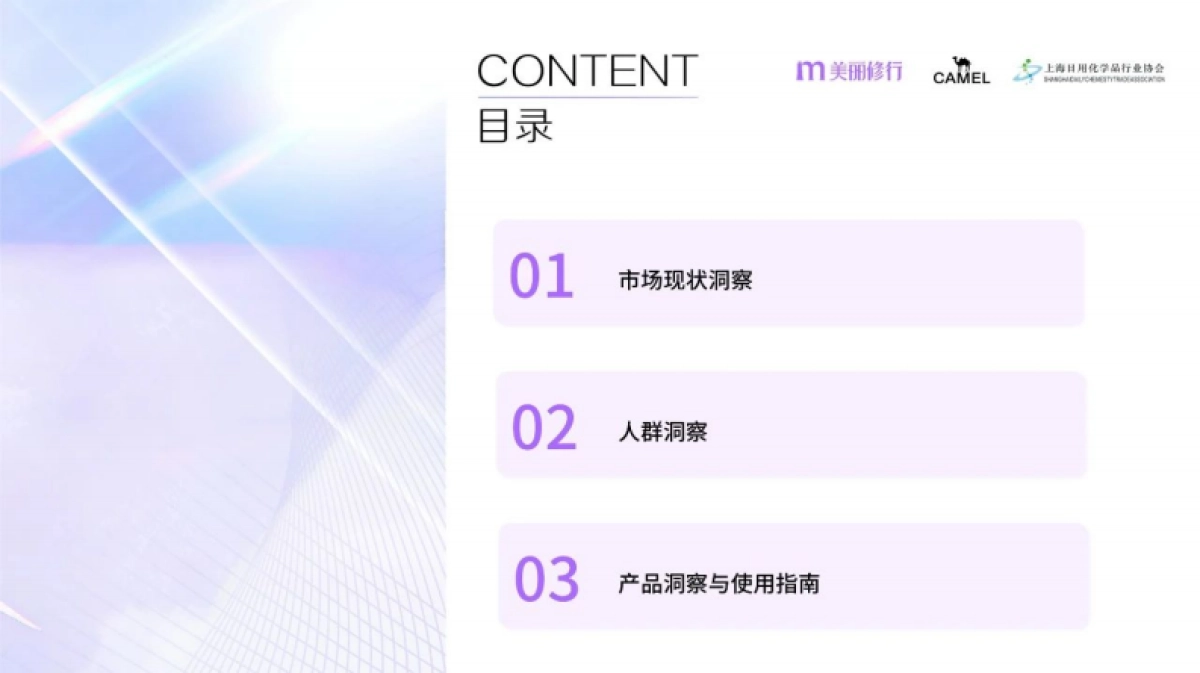 专业防晒护理白皮书_第2页