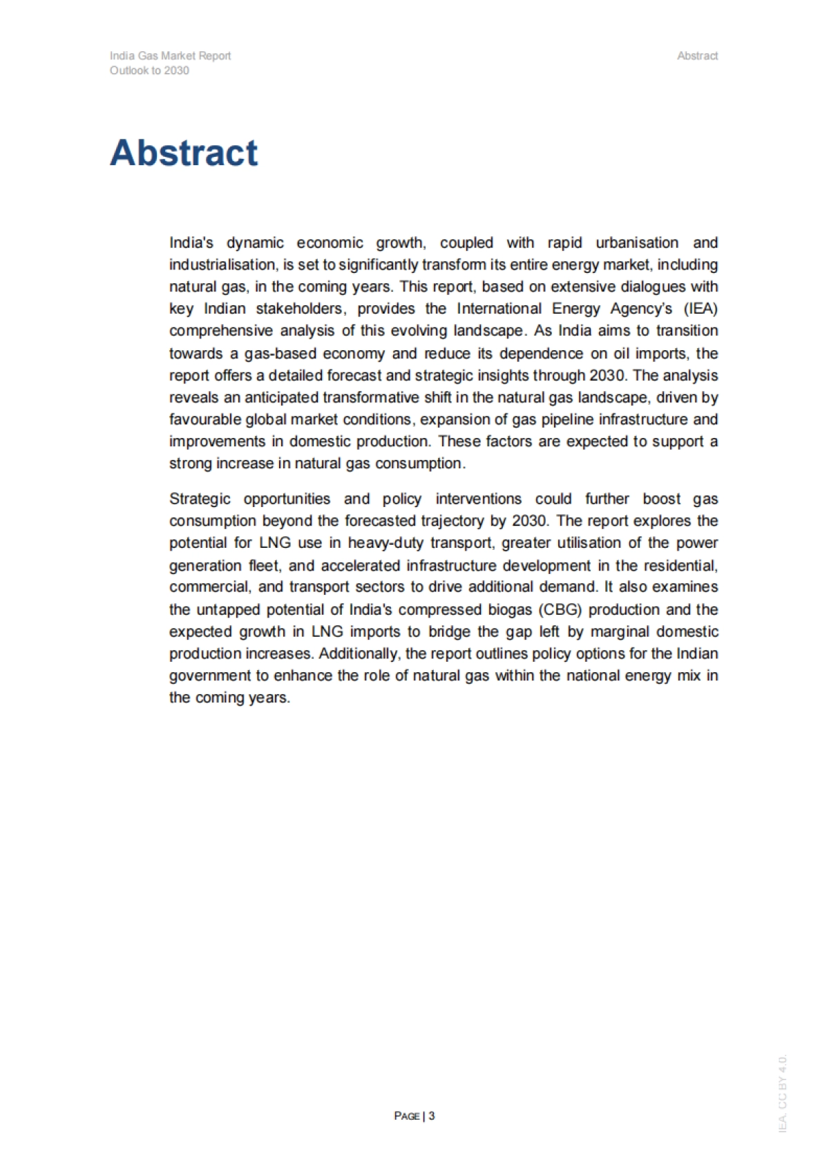 2030年印度天然气市场报告-IEA_第3页