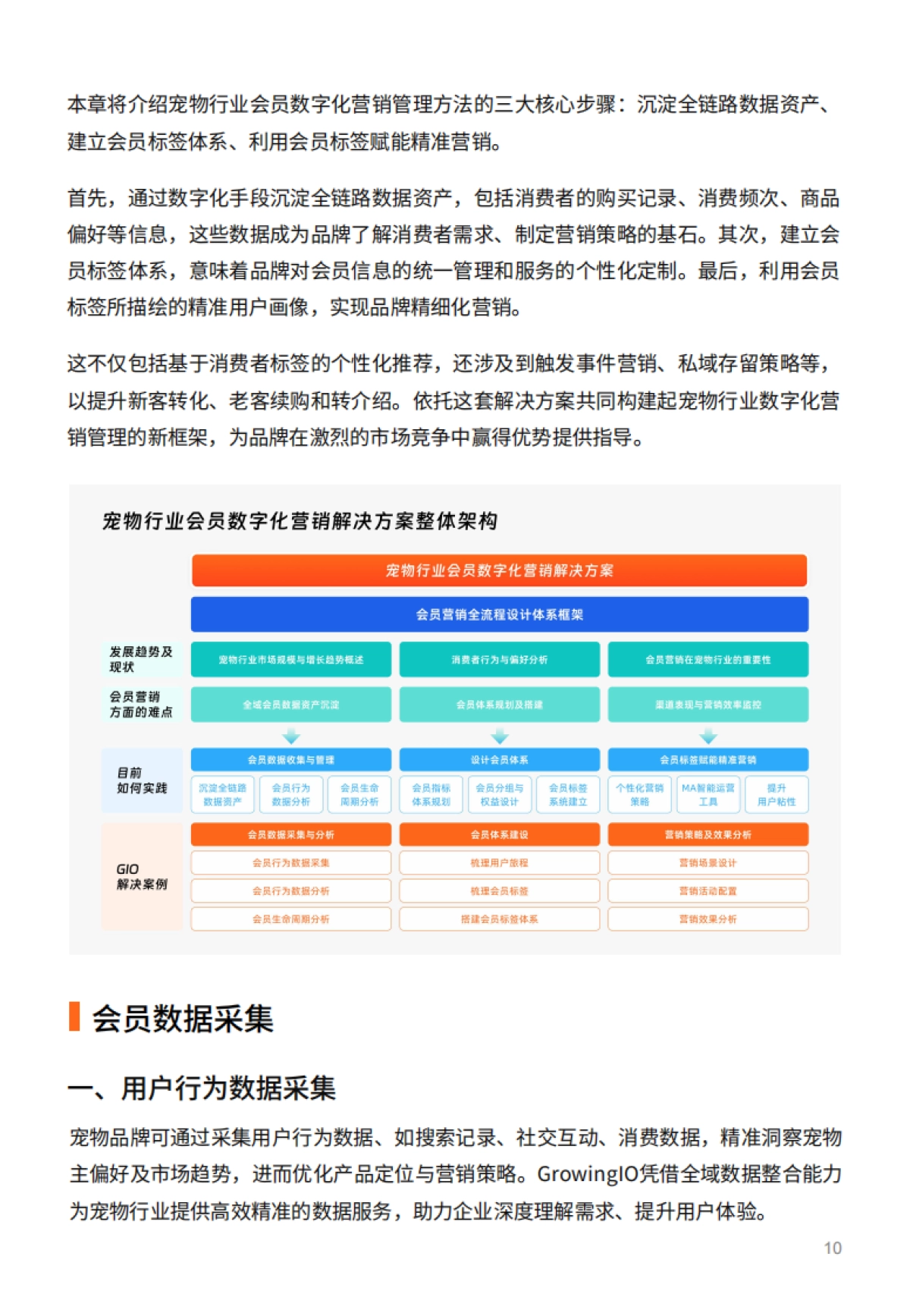 宠物行业会员数字化营销解决方案_第10页