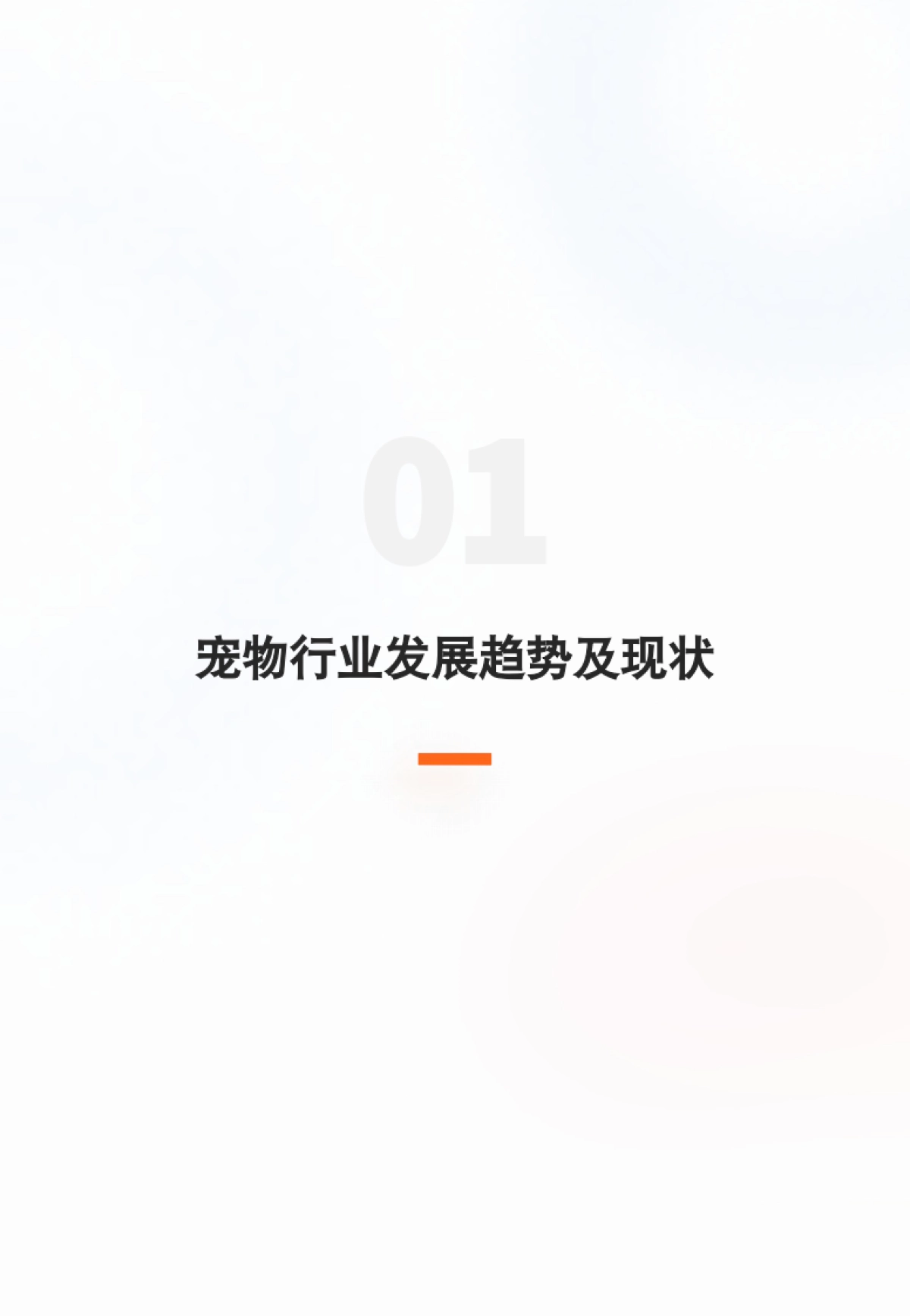 宠物行业会员数字化营销解决方案_第3页