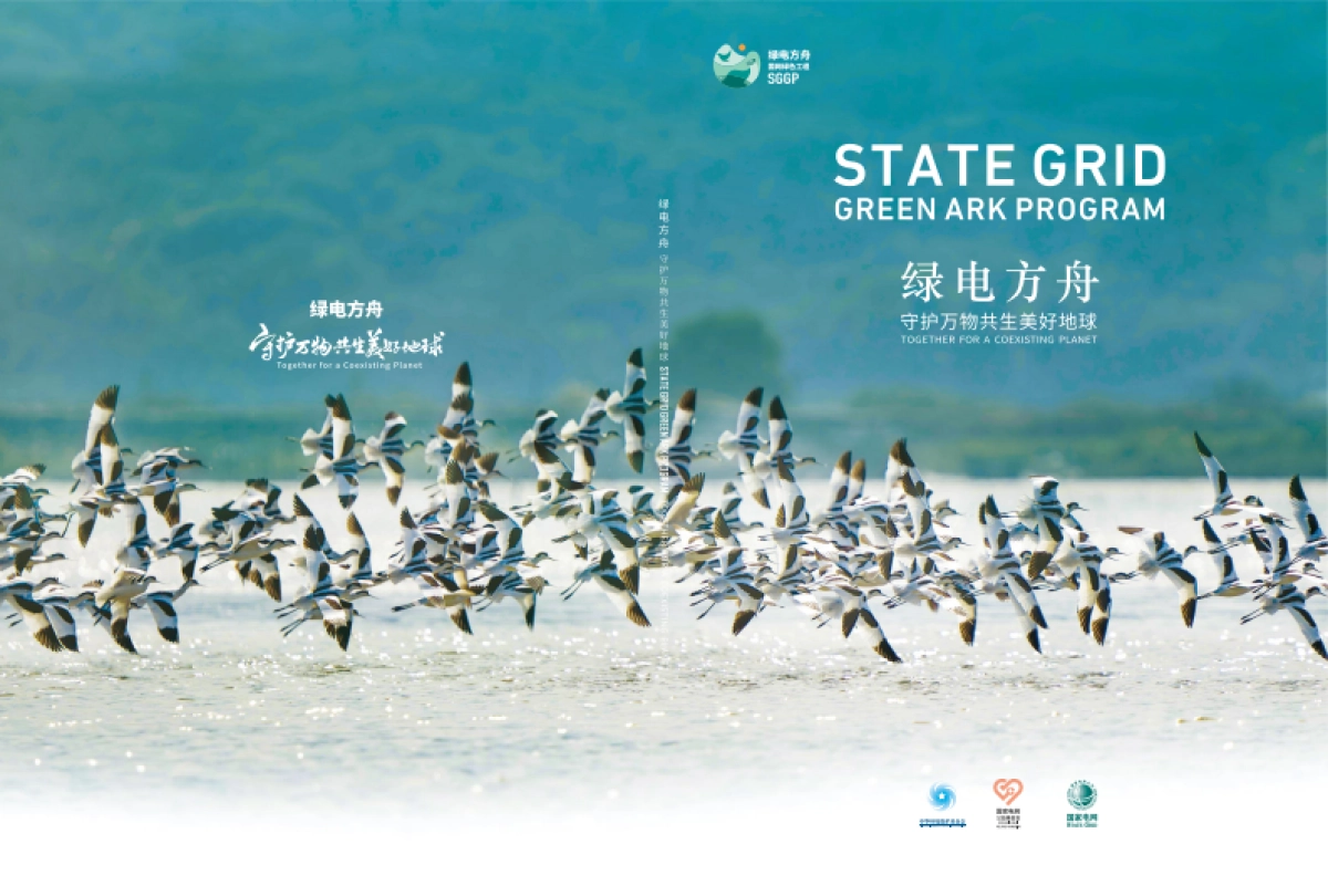 绿电方舟—守护万物共生美好地球_第1页