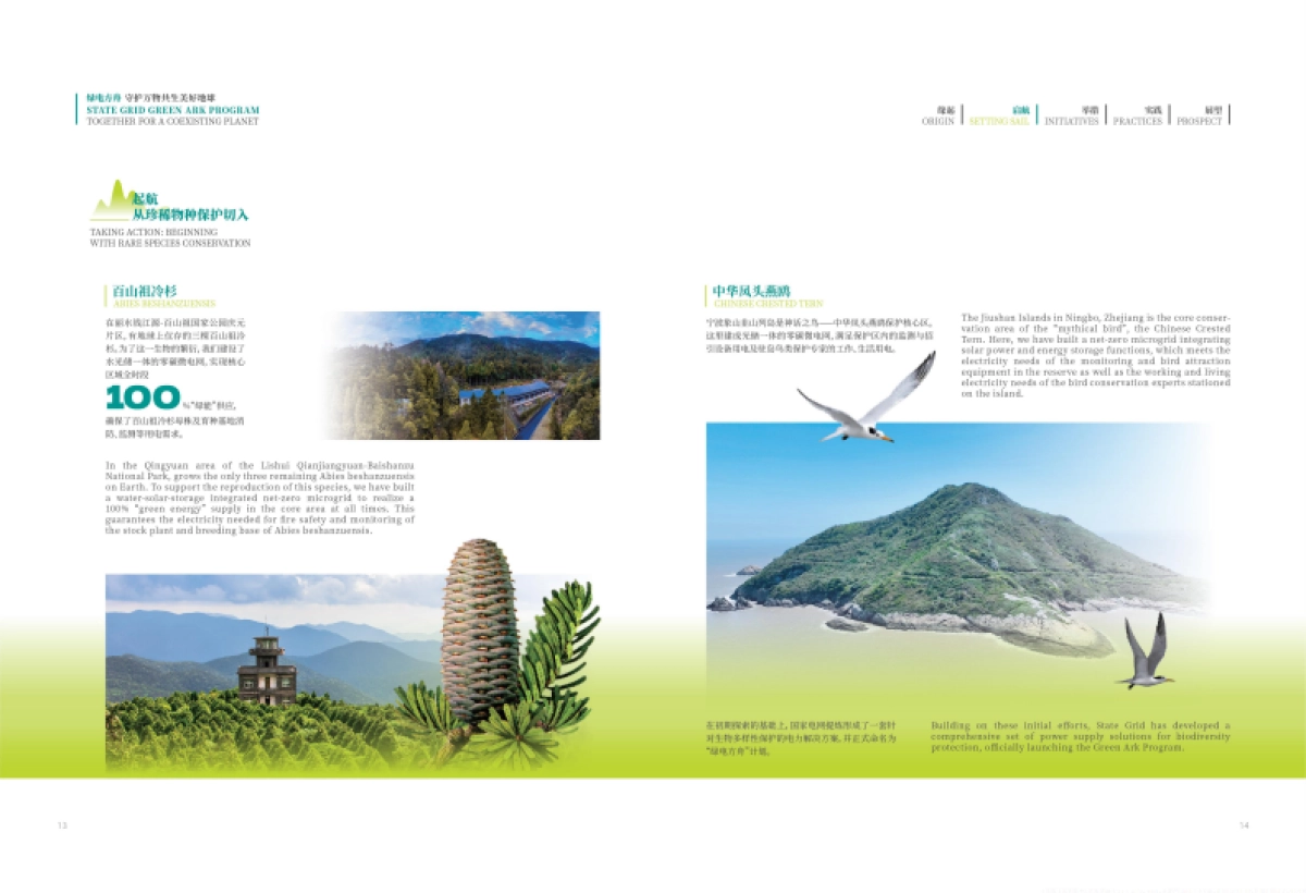 绿电方舟—守护万物共生美好地球_第10页