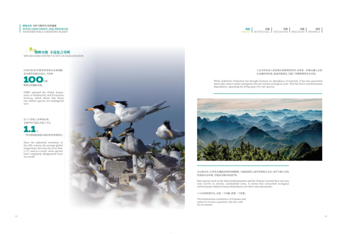 绿电方舟—守护万物共生美好地球_第5页