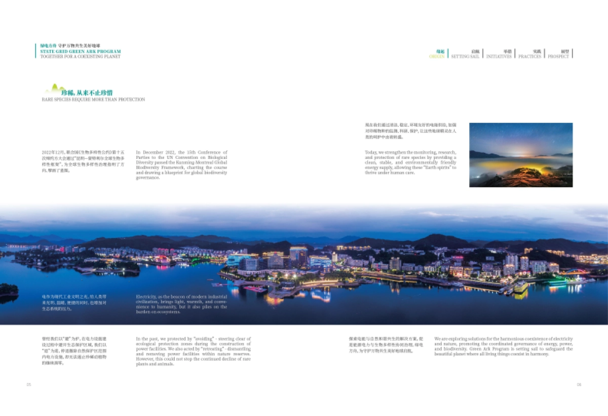 绿电方舟—守护万物共生美好地球_第6页