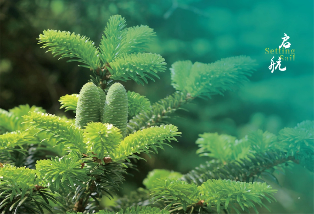 绿电方舟—守护万物共生美好地球_第7页